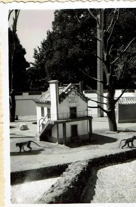 Excursión a Lisboa - Zoo